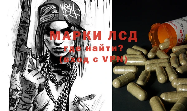 spice Алзамай
