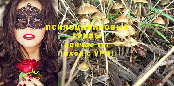 мяу мяу мука Алексеевка