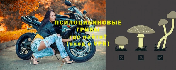 молекула духа Алексин