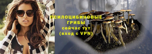 мяу мяу мука Алексеевка