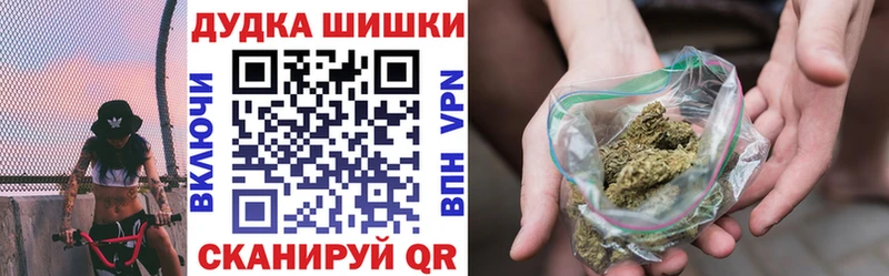 Бошки Шишки планчик  Черкесск 